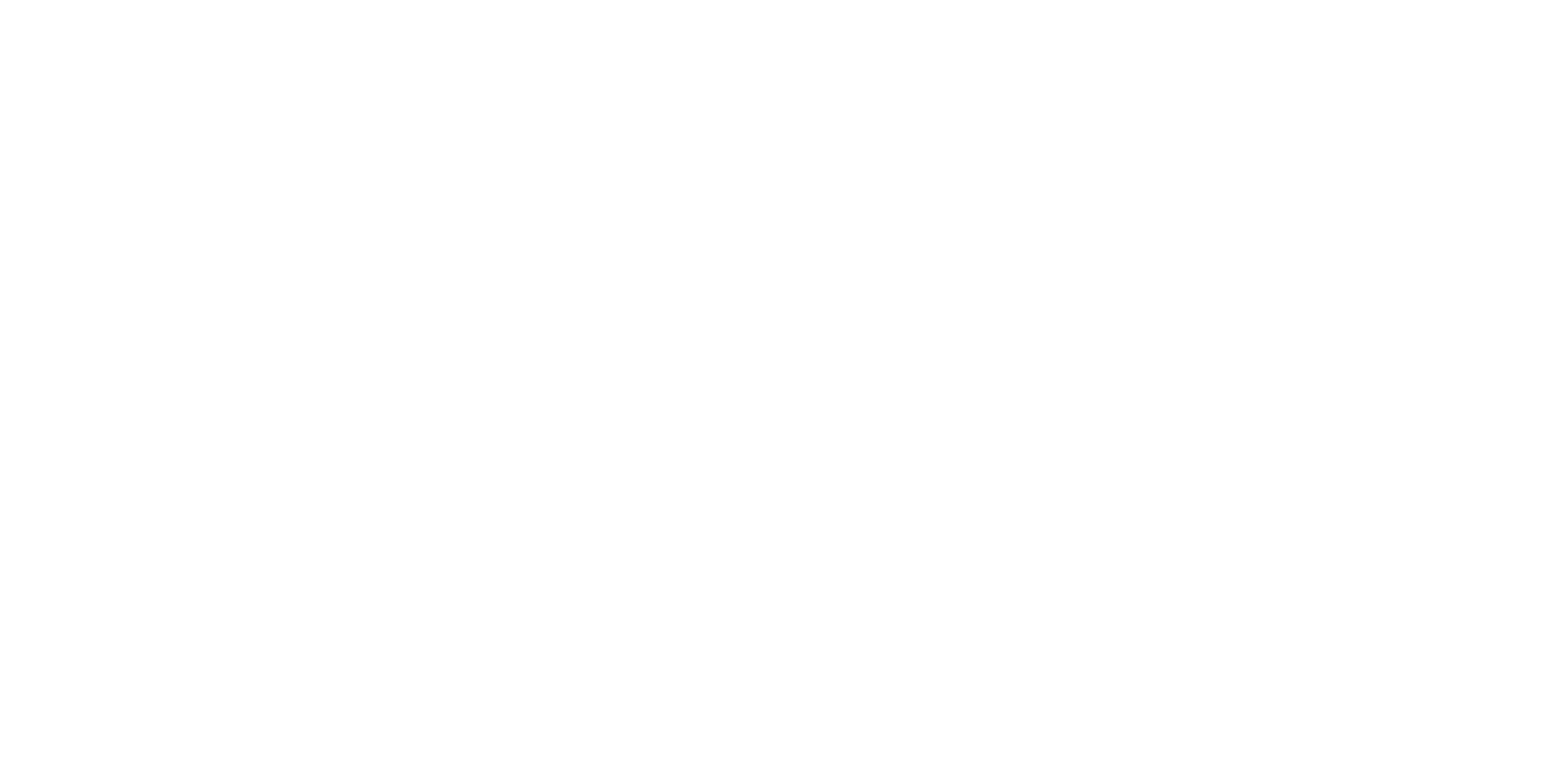 SEIROY Logo